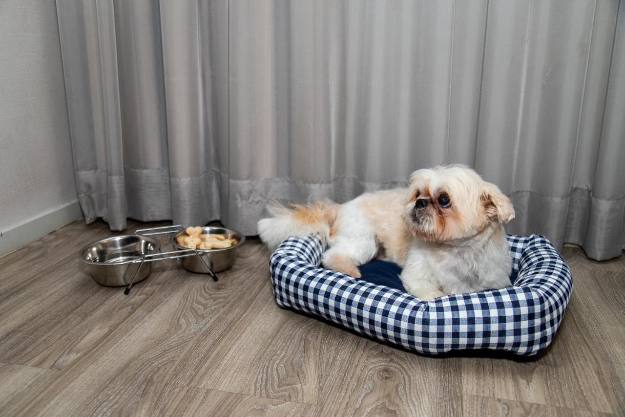 ホテル Radisson Rio De Janeiro Barra エクステリア 写真 A dog in a dog bed