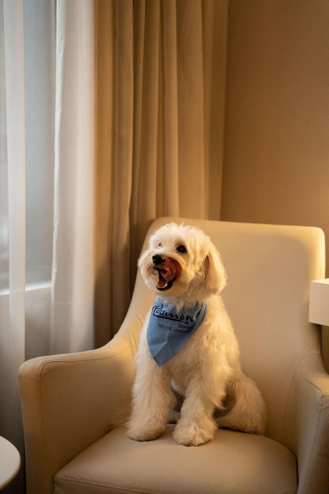 ホテル Radisson Rio De Janeiro Barra エクステリア 写真